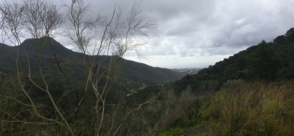 Land Benahavís Málaga - image 8