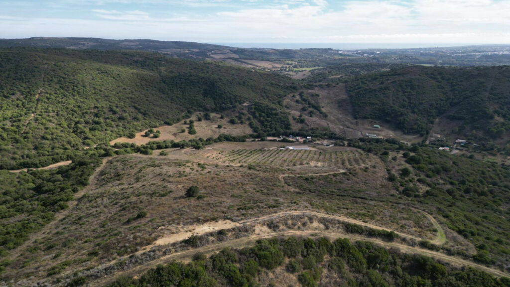 Land Manilva Málaga - image 8