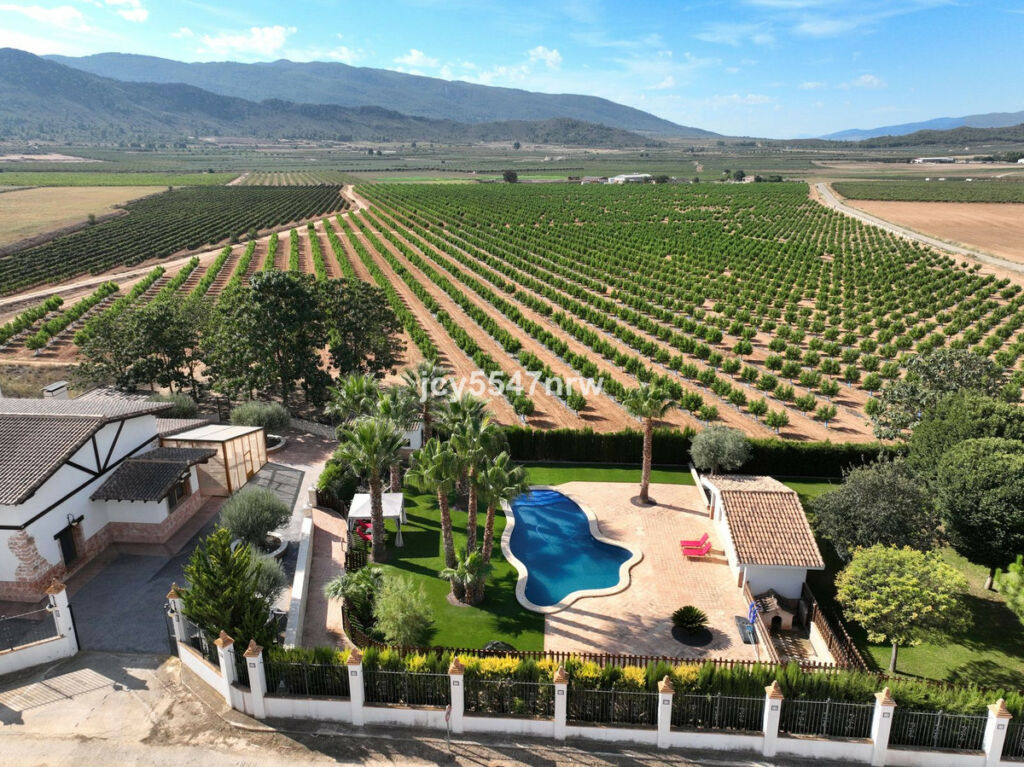 Finca - Cortijo Yecla Murcia - image 81