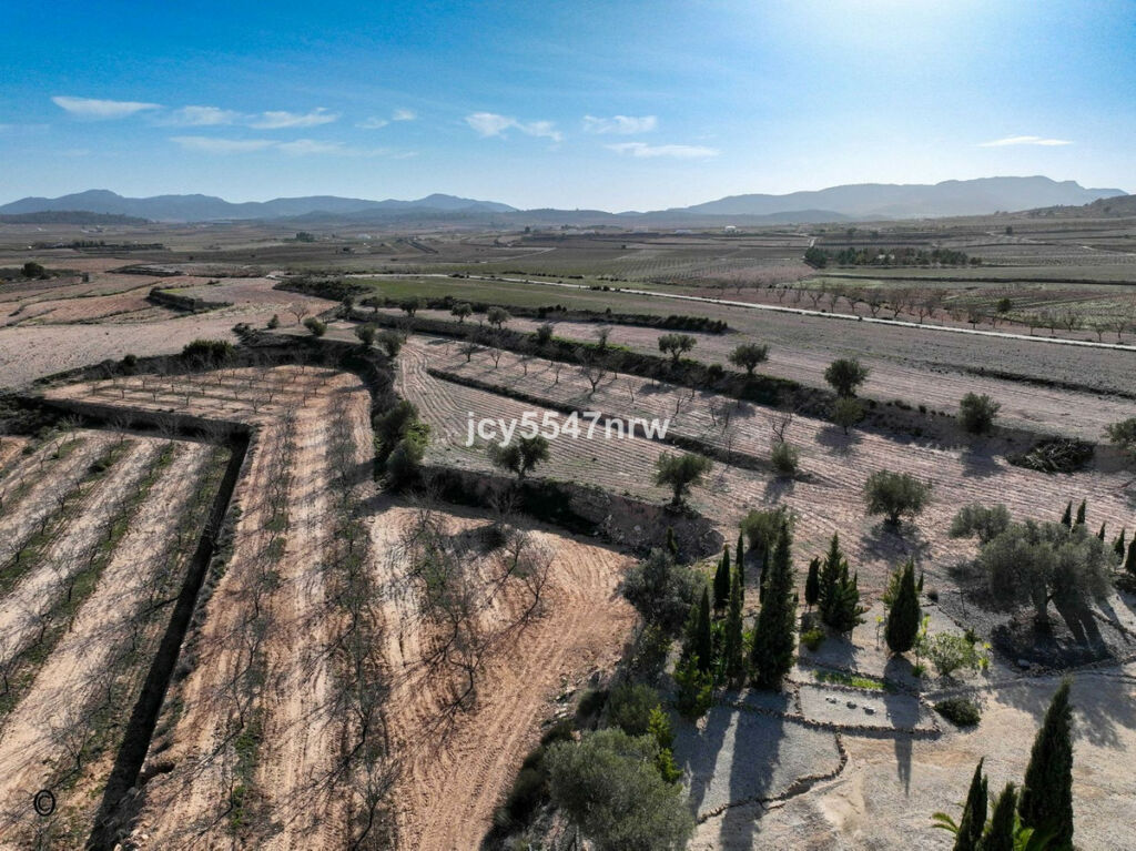 Detached Villa Pinoso Alicante - image 83