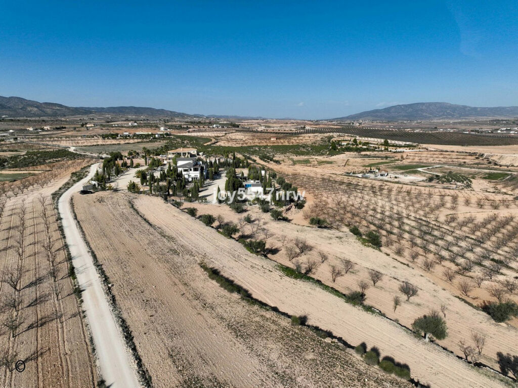 Detached Villa Pinoso Alicante - image 84