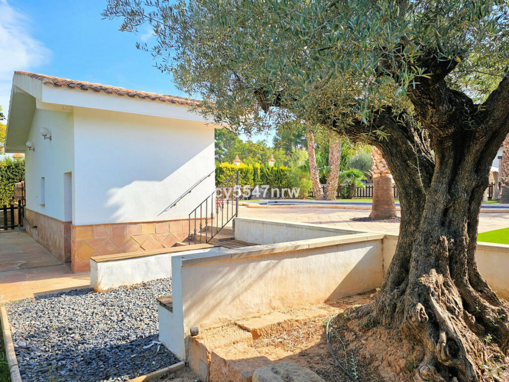 Finca - Cortijo Yecla Murcia - image 87