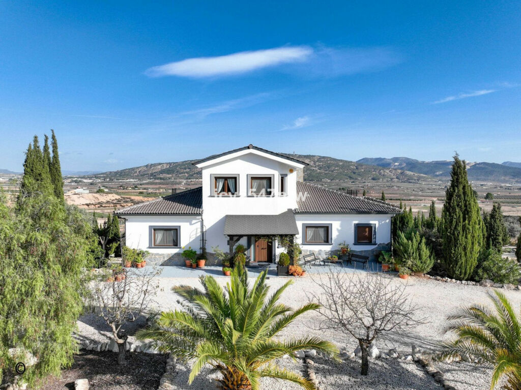 Detached Villa Pinoso Alicante - image 90