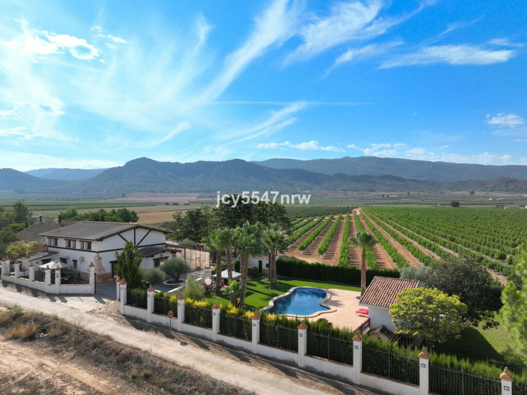 Finca - Cortijo Yecla Murcia - image 90