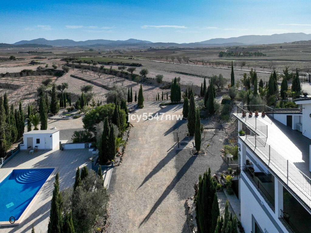 Detached Villa Pinoso Alicante - image 92
