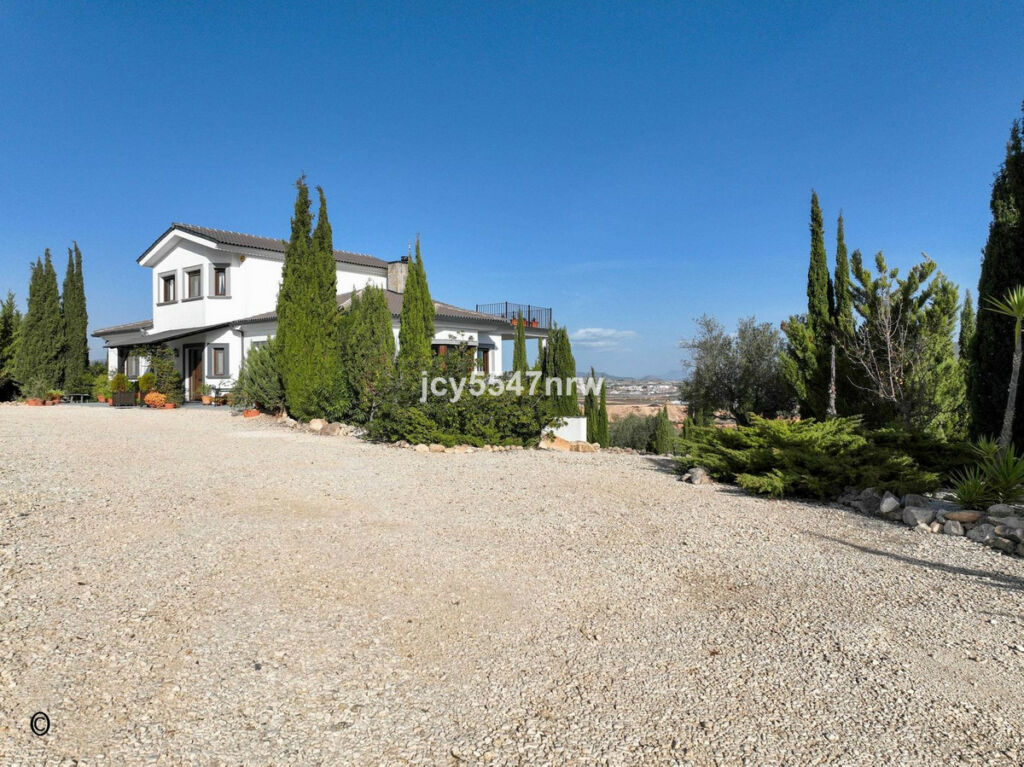 Detached Villa Pinoso Alicante - image 93