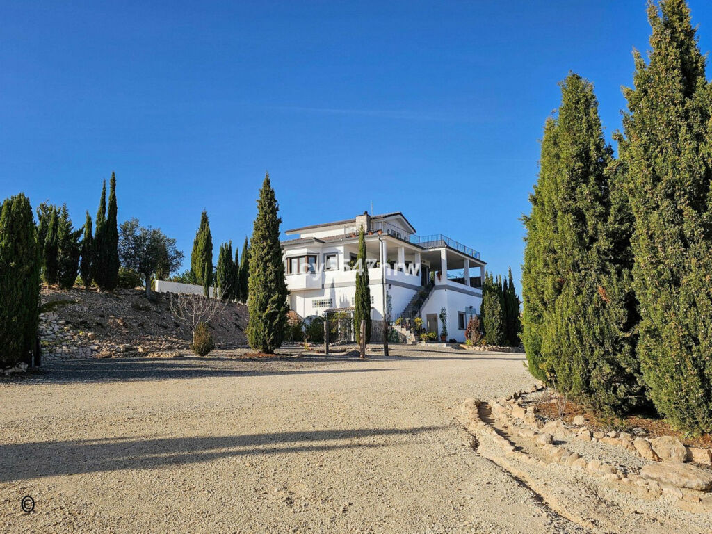 Detached Villa Pinoso Alicante - image 94
