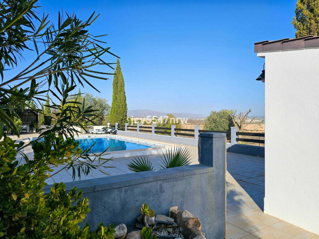 Detached Villa Pinoso Alicante - image 98