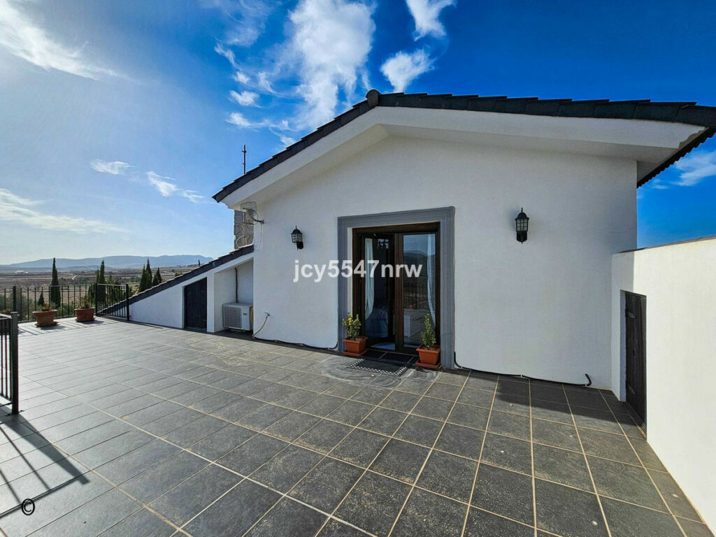 Detached Villa Pinoso Alicante - image 99