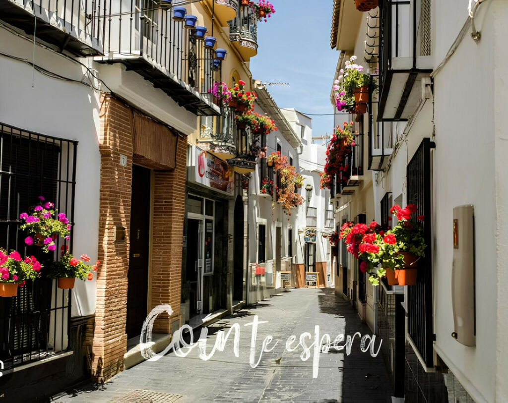 Penthouse Coín Málaga
