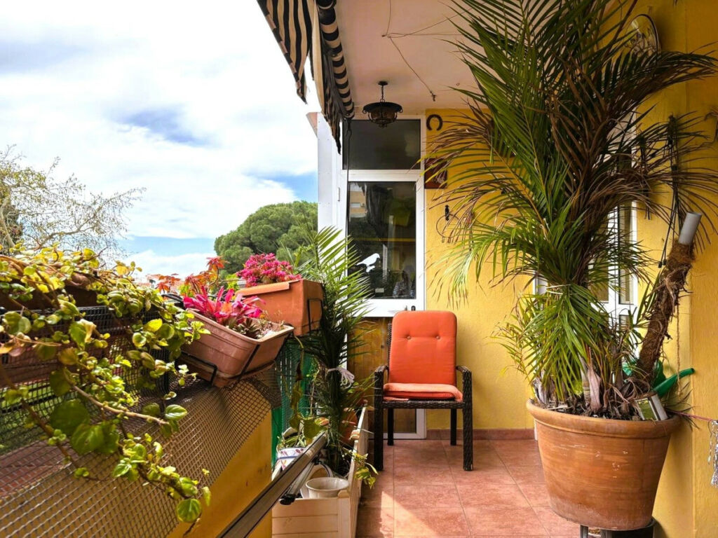 Middle Floor Apartment Marbella Málaga - image 3