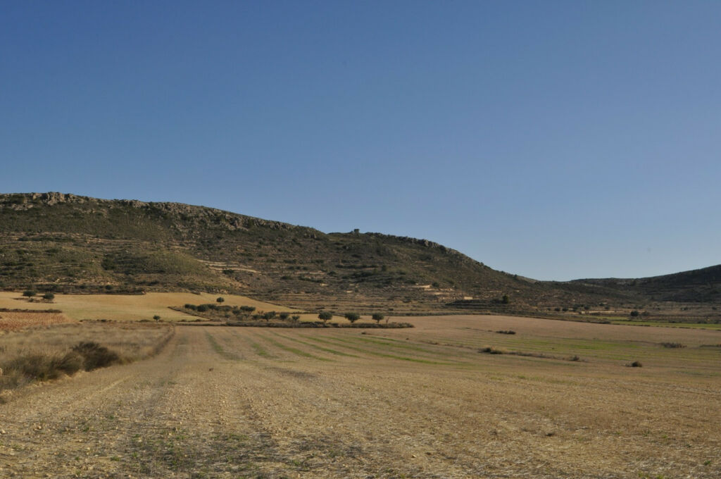 Land Torre Del Rico Murcia