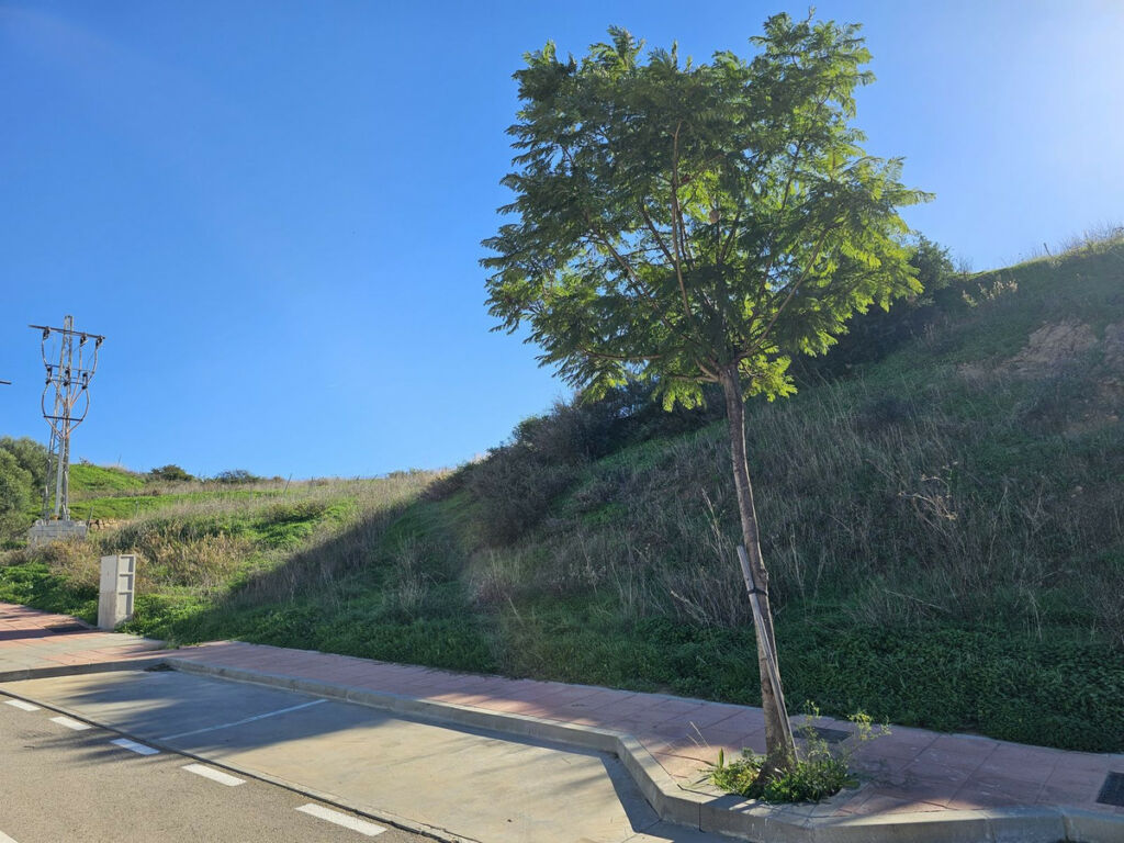 Residential Plot Valle Romano Málaga