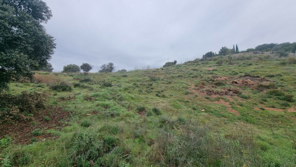 Land Coín Málaga