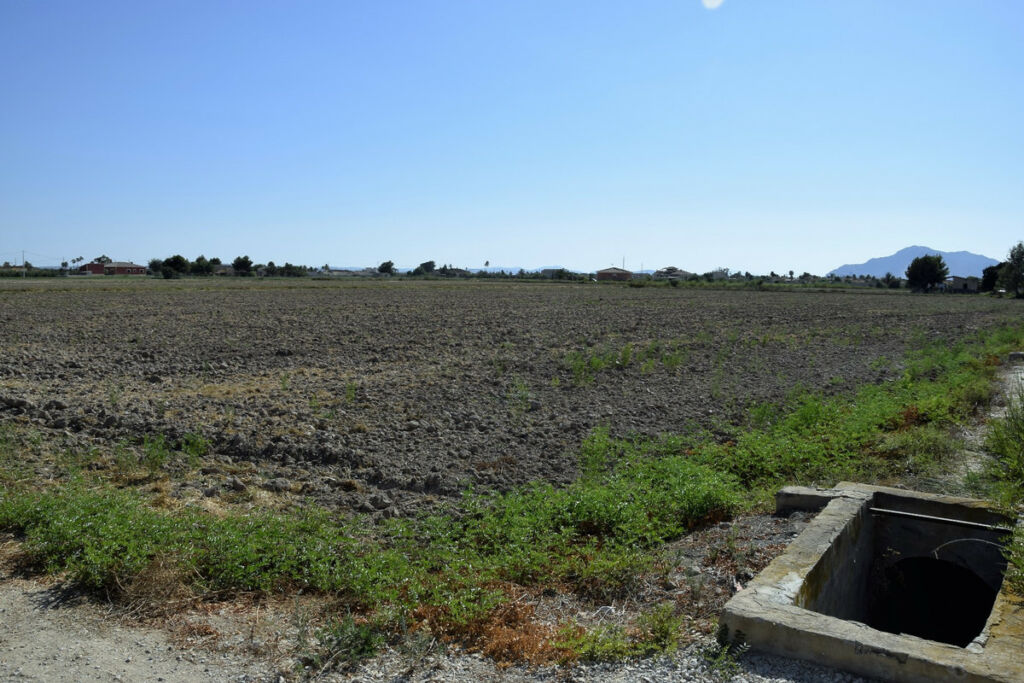 Land Catral Alicante
