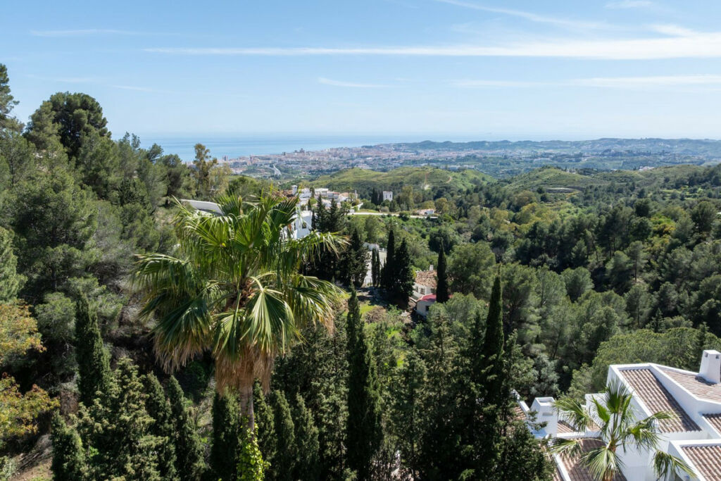 Detached Villa Mijas Málaga - image 2