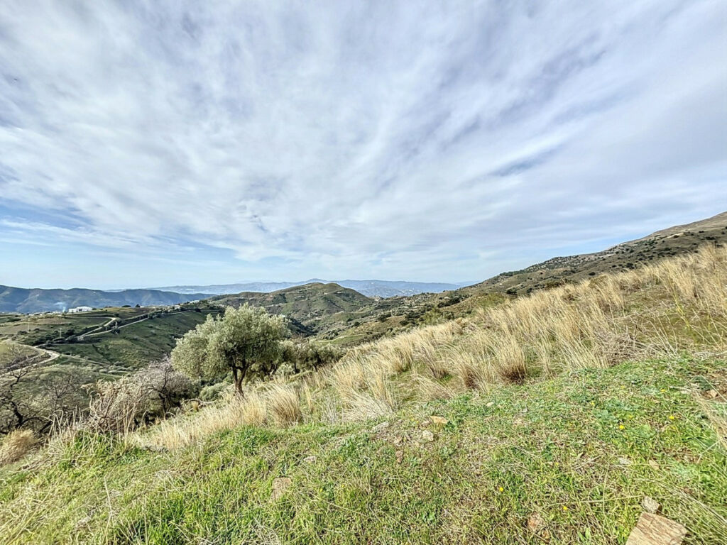 Land Sedella Málaga - image 11