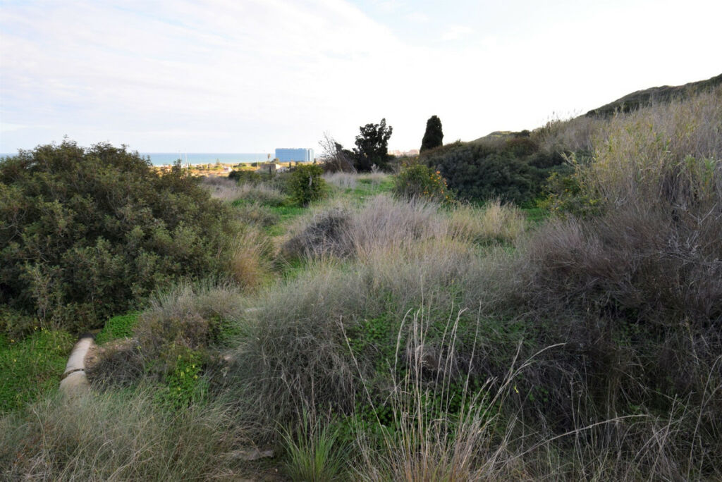 Land Guardamar del Segura Alicante - image 11