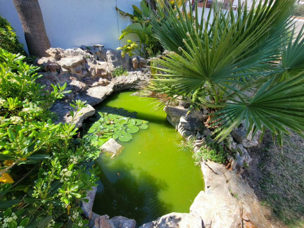 Detached Villa Moraira Alicante - image 11