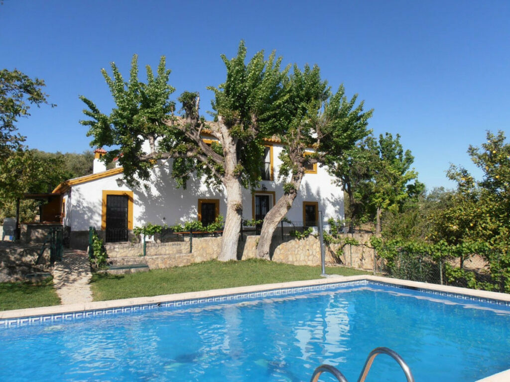 Finca - Cortijo Ronda Málaga - image 12