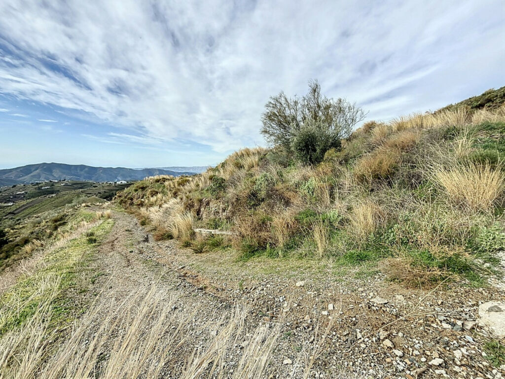 Land Sedella Málaga - image 12
