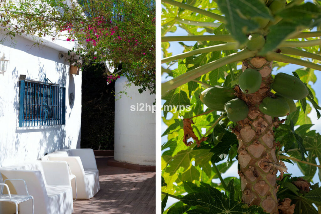 Detached Villa Almayate Málaga - image 12