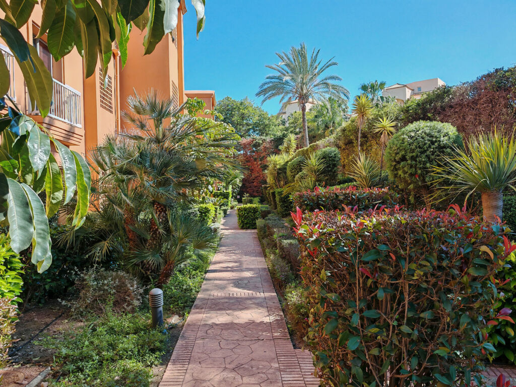 Ground Floor Apartment Estepona Málaga - image 13