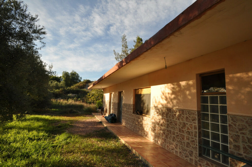 Detached Villa Aspe Alicante - image 13