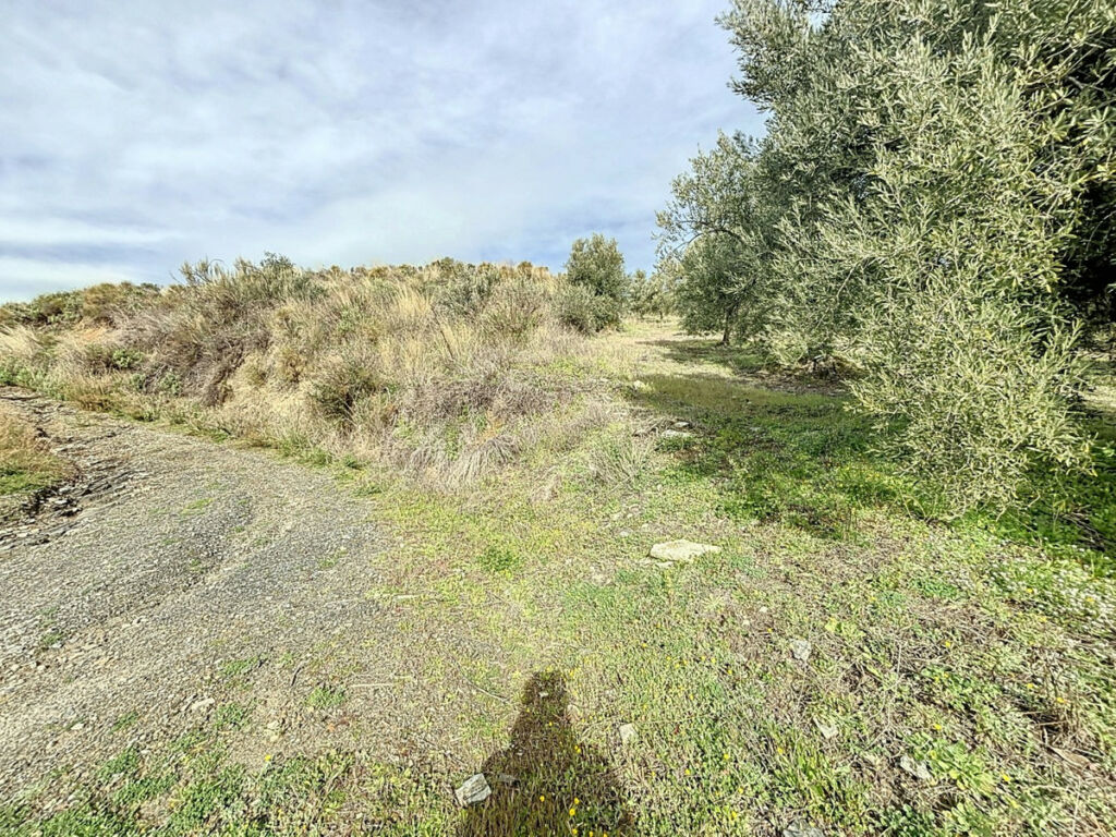 Land Sedella Málaga - image 13