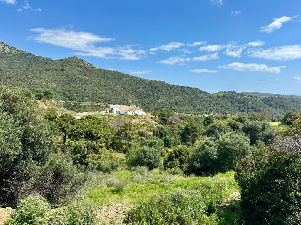 Residential Plot Benahavís Málaga - image 13