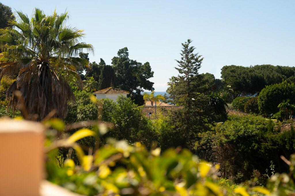 Detached Villa Estepona Málaga - image 14