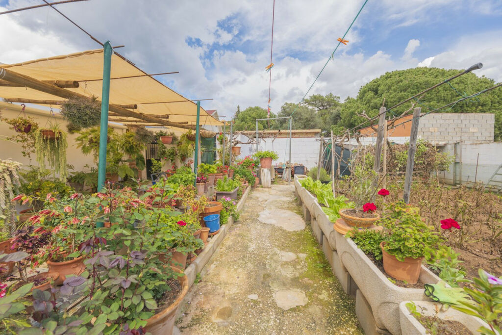 Detached Villa Las Chapas Málaga - image 14
