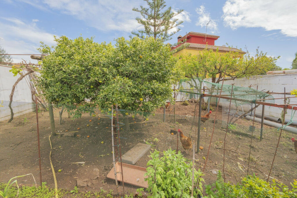 Detached Villa Las Chapas Málaga - image 15