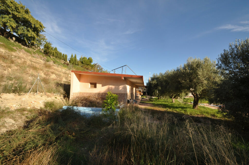 Detached Villa Aspe Alicante - image 15