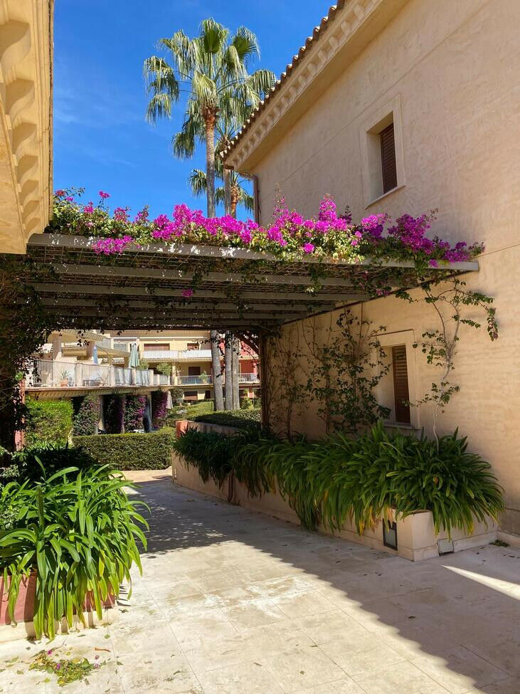 Ground Floor Apartment Benissa Coast Alicante - image 15