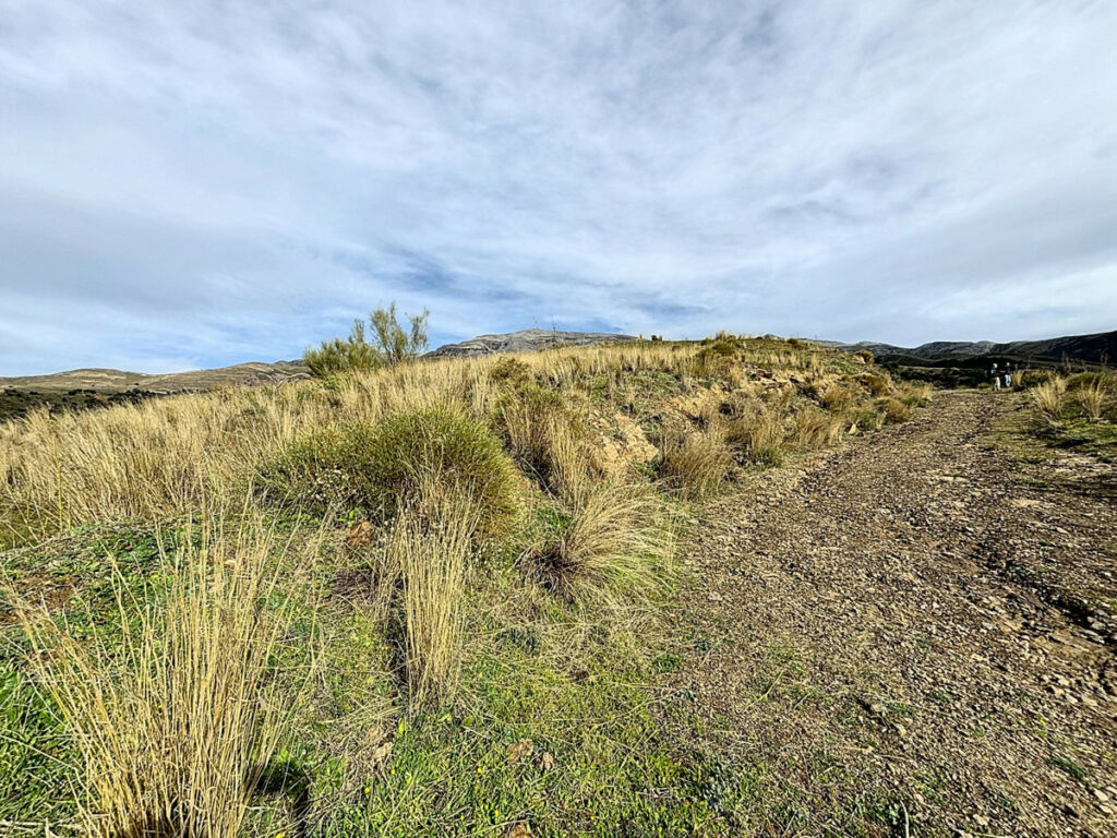 Land Sedella Málaga - image 15