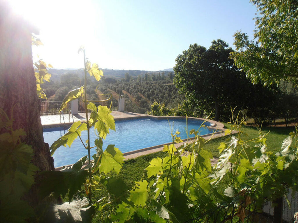 Finca - Cortijo Ronda Málaga - image 16