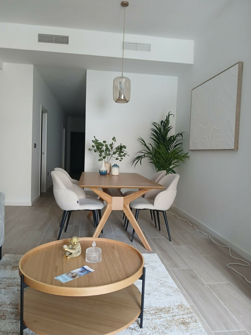 Ground Floor Apartment Algorfa Alicante - image 16