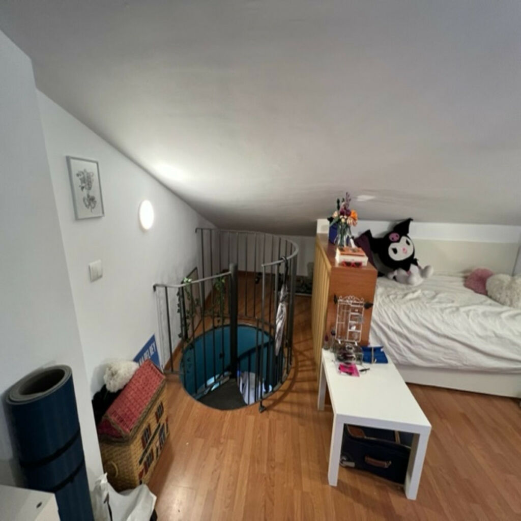Top Floor Apartment Málaga Centro Málaga - image 17
