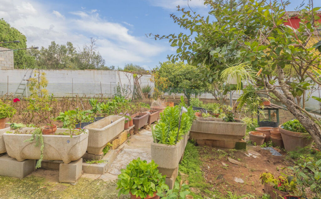 Detached Villa Las Chapas Málaga - image 17