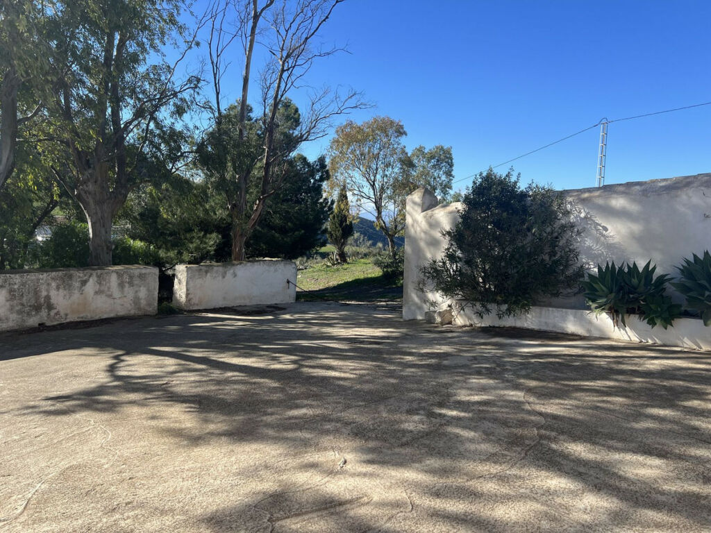 Finca - Cortijo Casabermeja Málaga - image 17