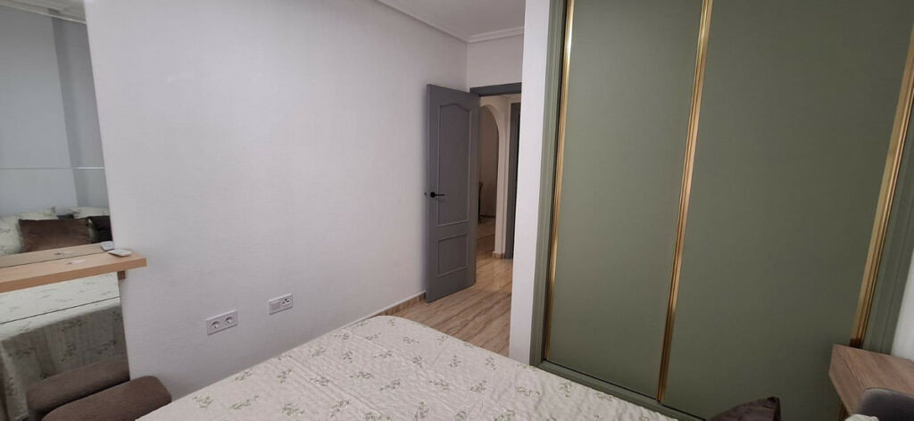 Middle Floor Apartment Torrevieja Alicante - image 17