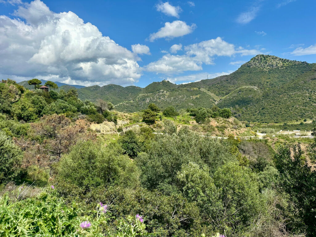 Residential Plot Benahavís Málaga - image 17
