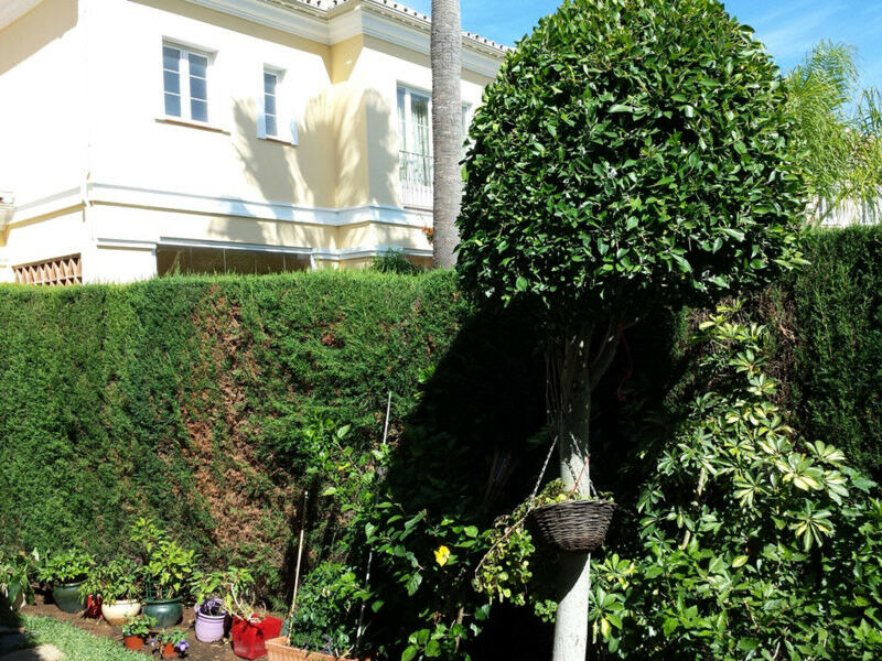 Townhouse Elviria Málaga - image 18