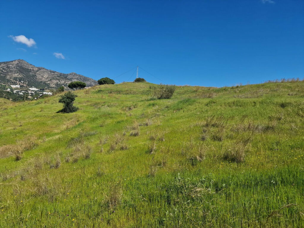 Land Mijas Málaga - image 18