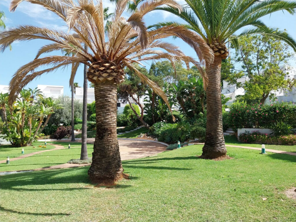 Townhouse San Pedro de Alcántara Málaga - image 14