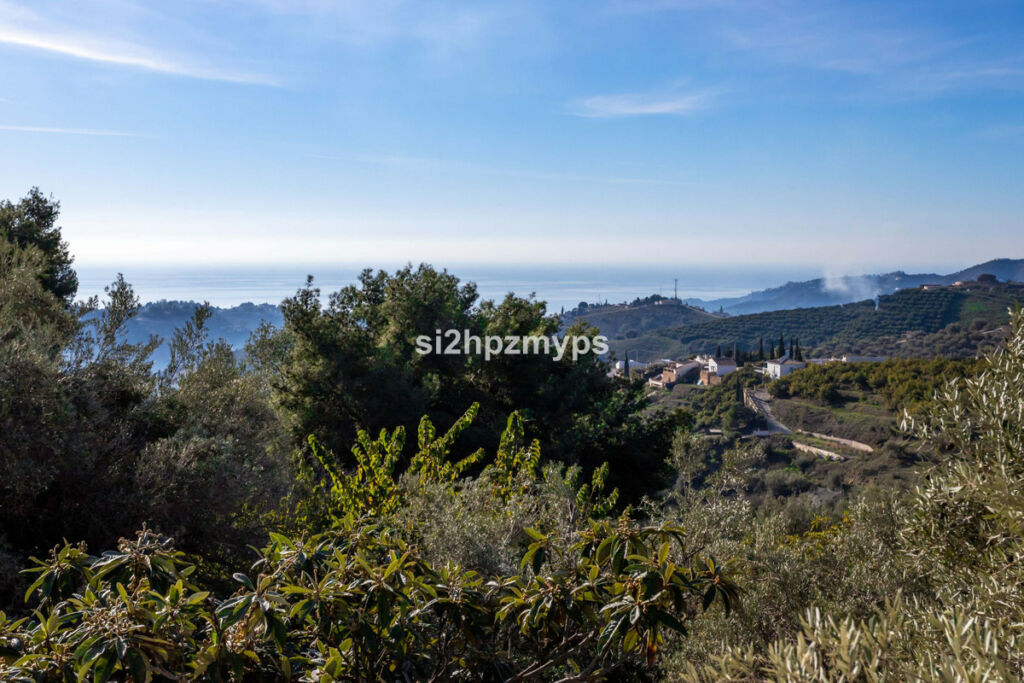 Detached Villa Frigiliana Málaga - image 19