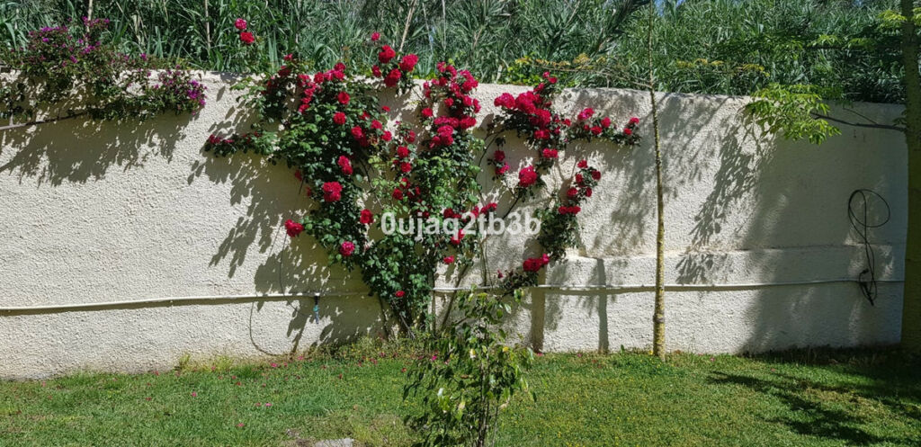 Detached Villa New Golden Mile Málaga - image 19