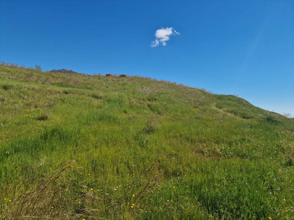 Land Mijas Málaga - image 19