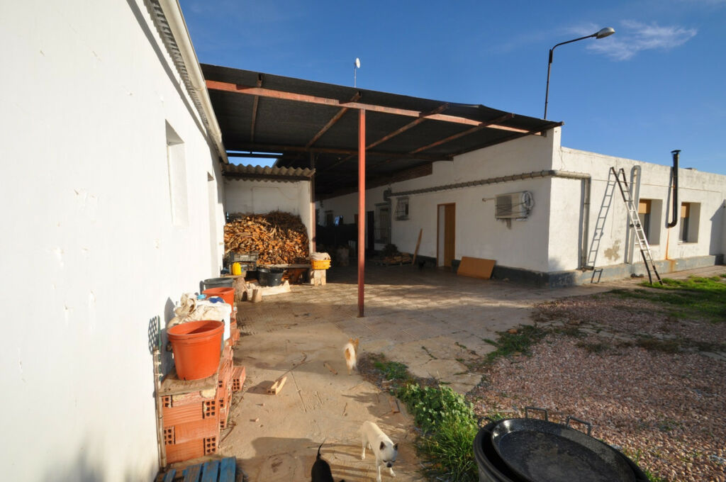 Detached Villa Aspe Alicante - image 19